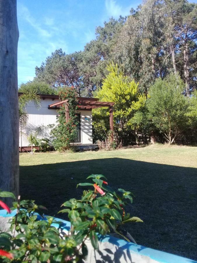 La Maison Suites&Gastronomía La Paloma Exterior foto